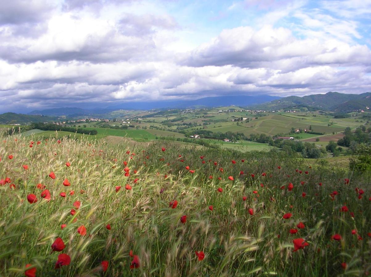 Villa Dei Romaniani Villaromagnano Dış mekan fotoğraf